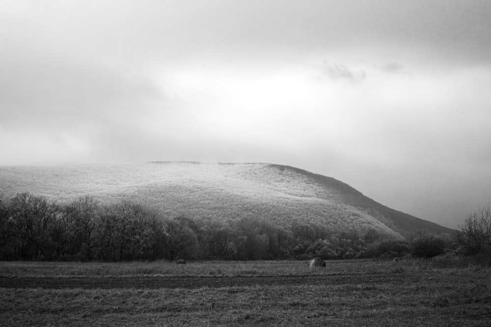 foto in scala di grigi del campo d'erba e delle montagne