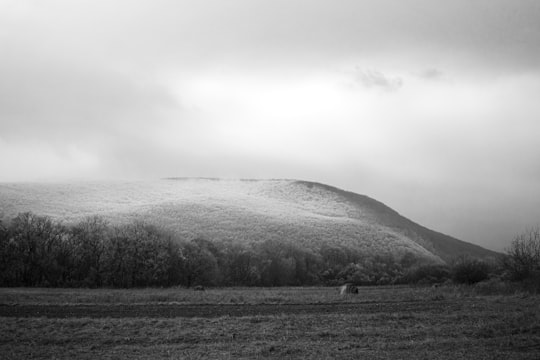 grayscale photo of grass field and mountains in Nógrád Hungary