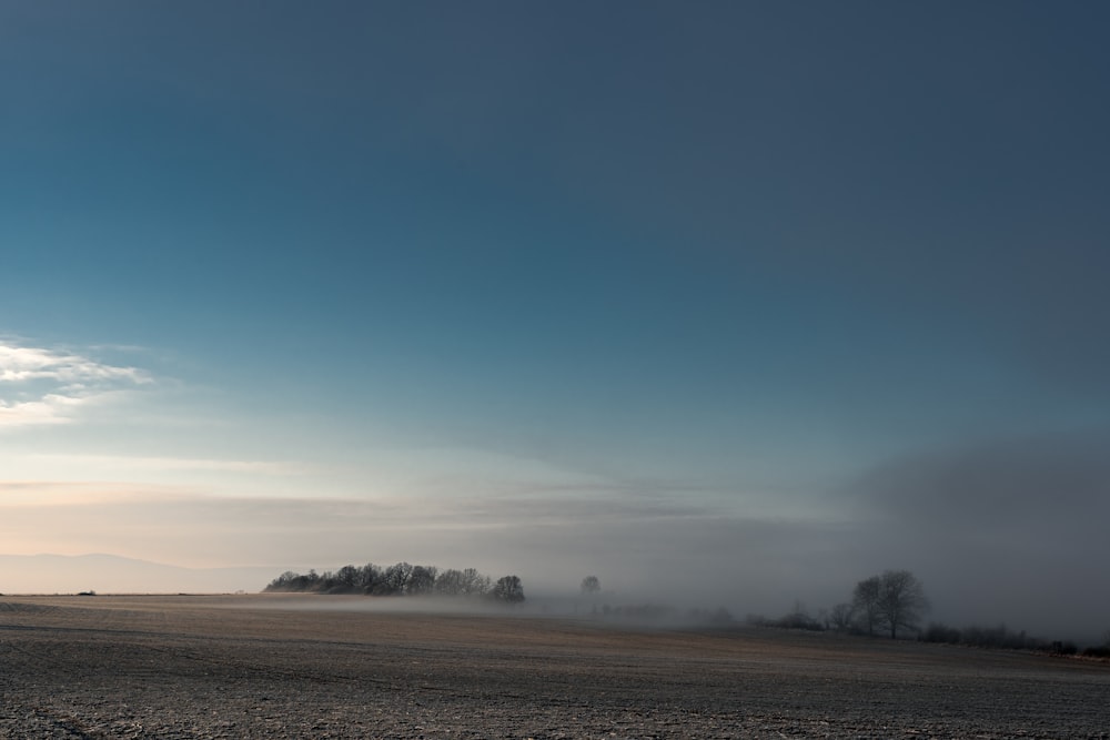 campo marrone sotto il cielo blu durante il giorno