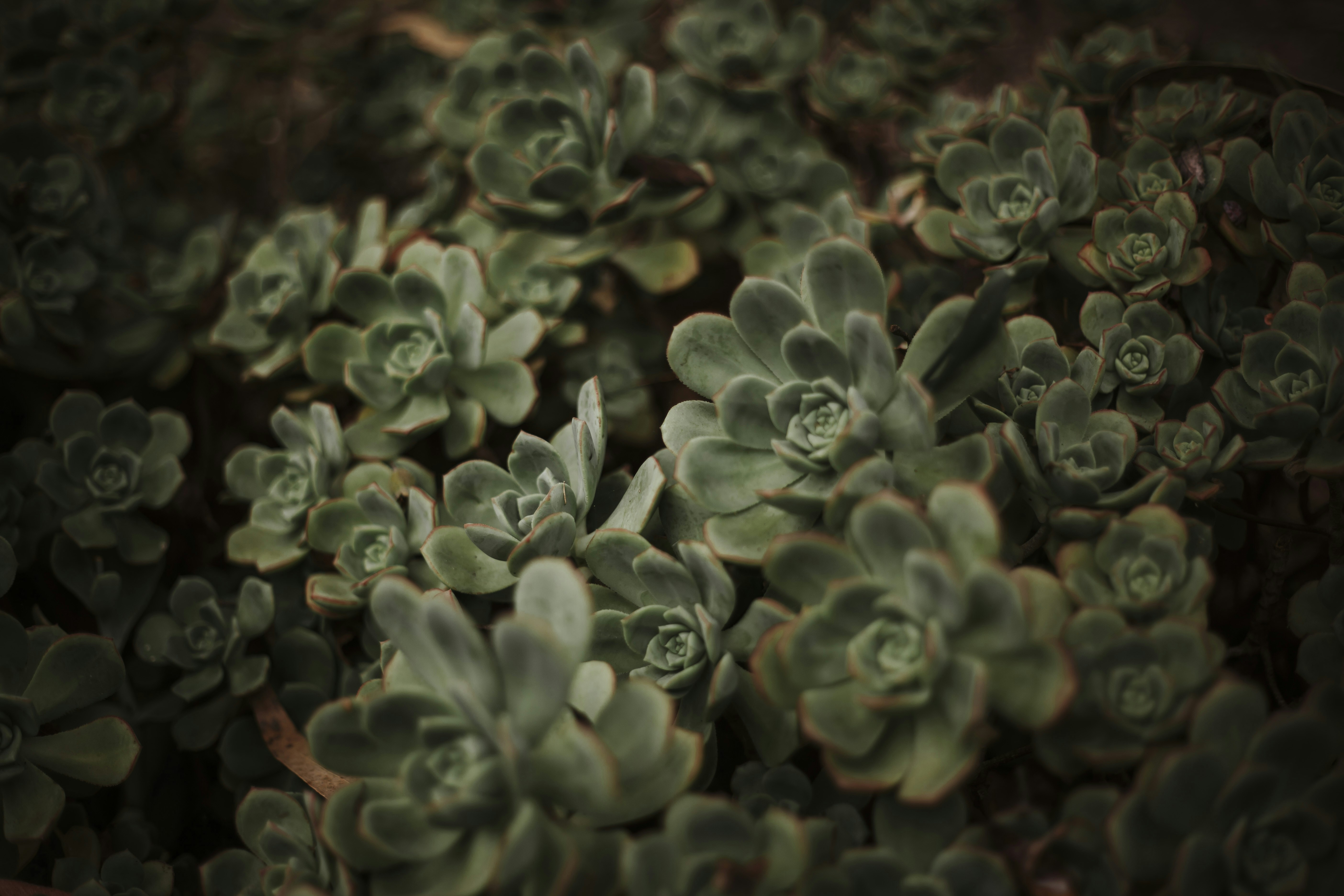 Photo by gabriellaarrostuto