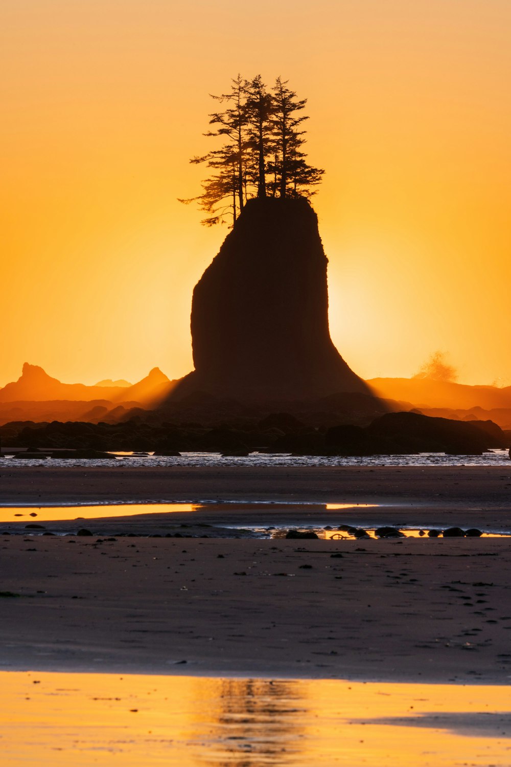 silhouette of trees on mountain during sunset