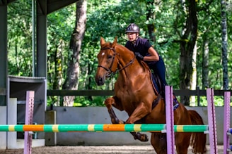 A person wearing a helmet is riding a brown horse, which is in mid-jump over a colorful hurdle in an equestrian arena. The background consists of lush green trees, providing a natural setting.