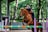 A person wearing a helmet is riding a brown horse, which is in mid-jump over a colorful hurdle in an equestrian arena. The background consists of lush green trees, providing a natural setting.