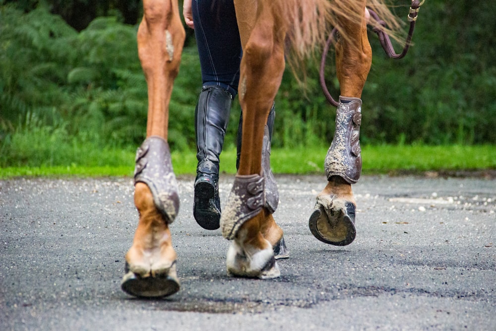 person in black pants and black shoes riding brown horse during daytime