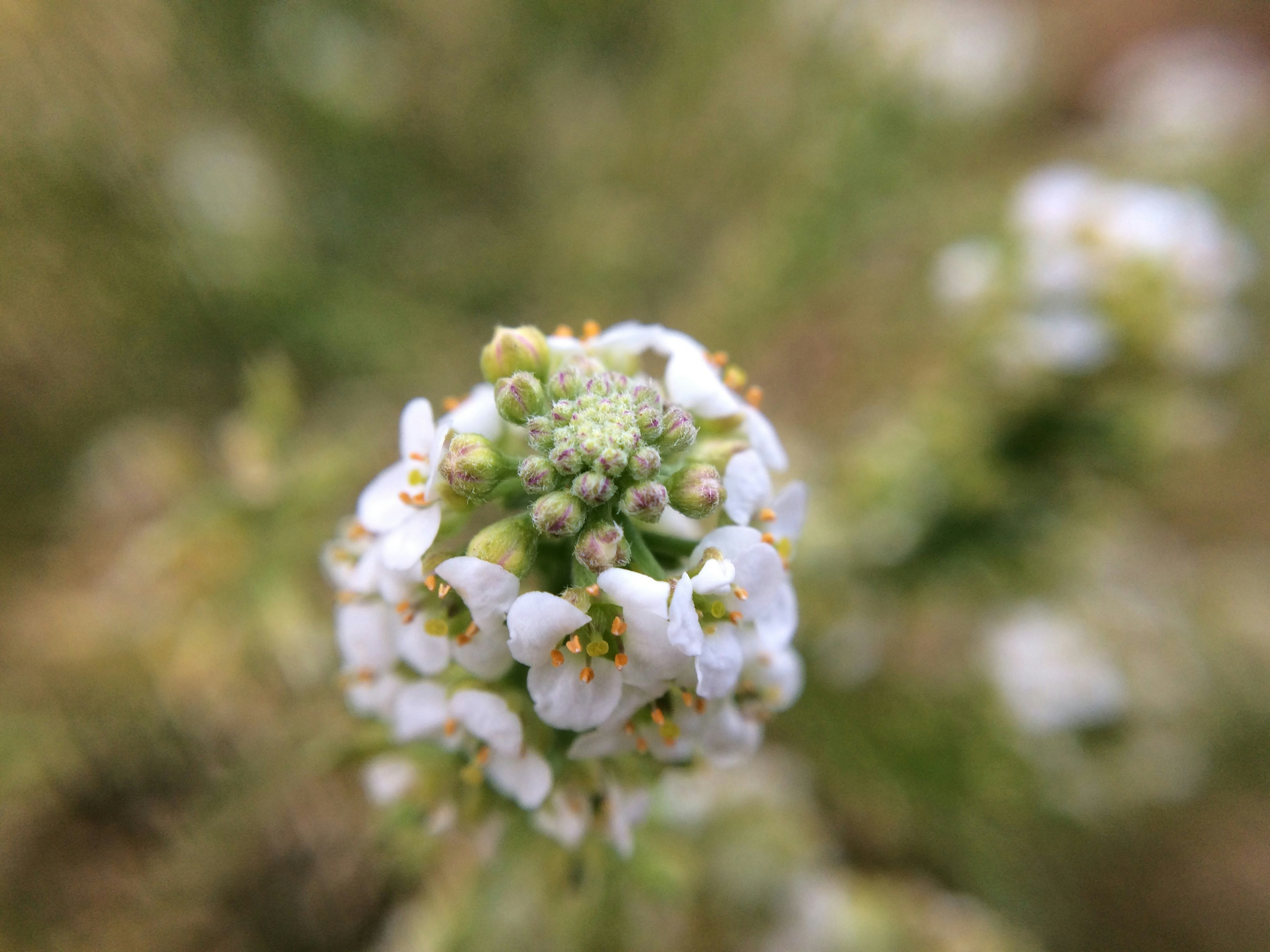 Photo by atoto_photo