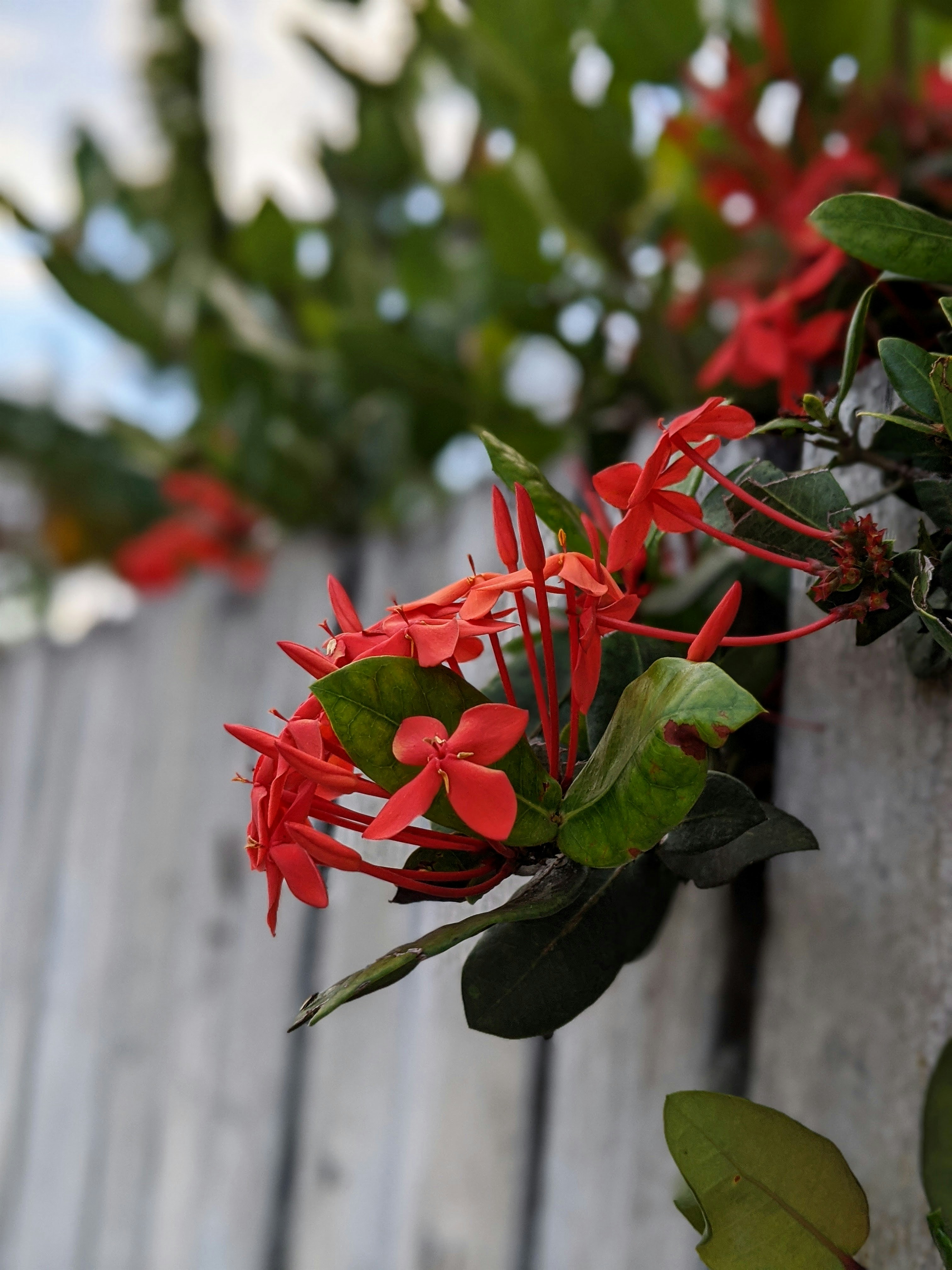 Photo by atoto_photo