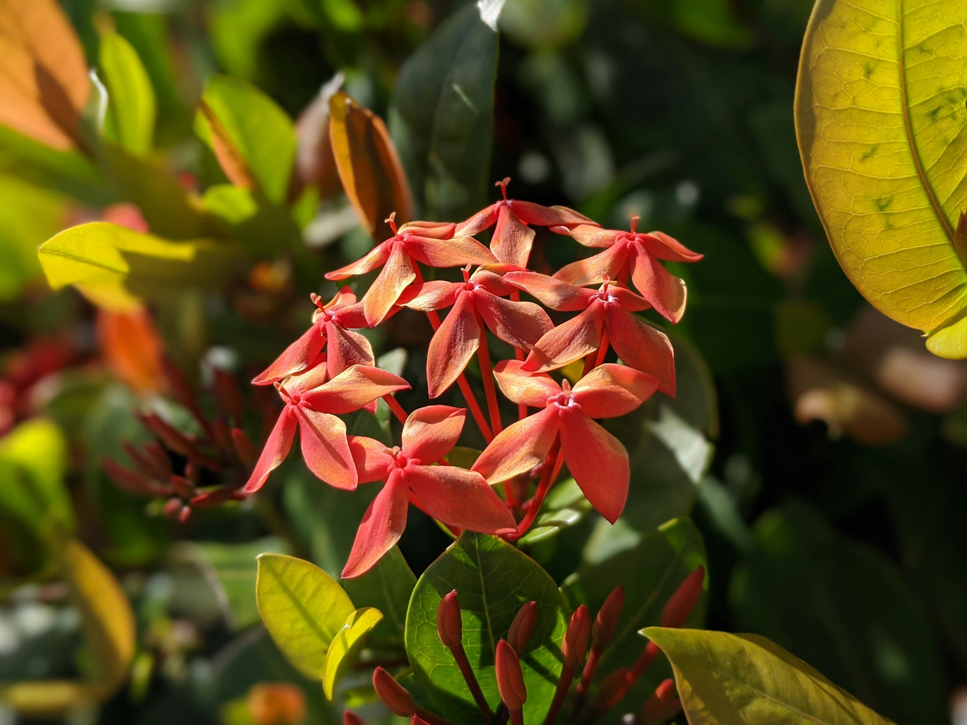 Photo by atoto_photo