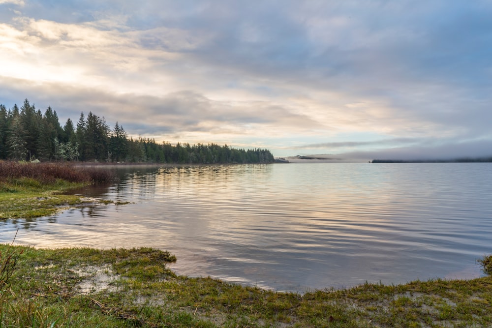 green grass field near body of water under cloudy sky during daytime