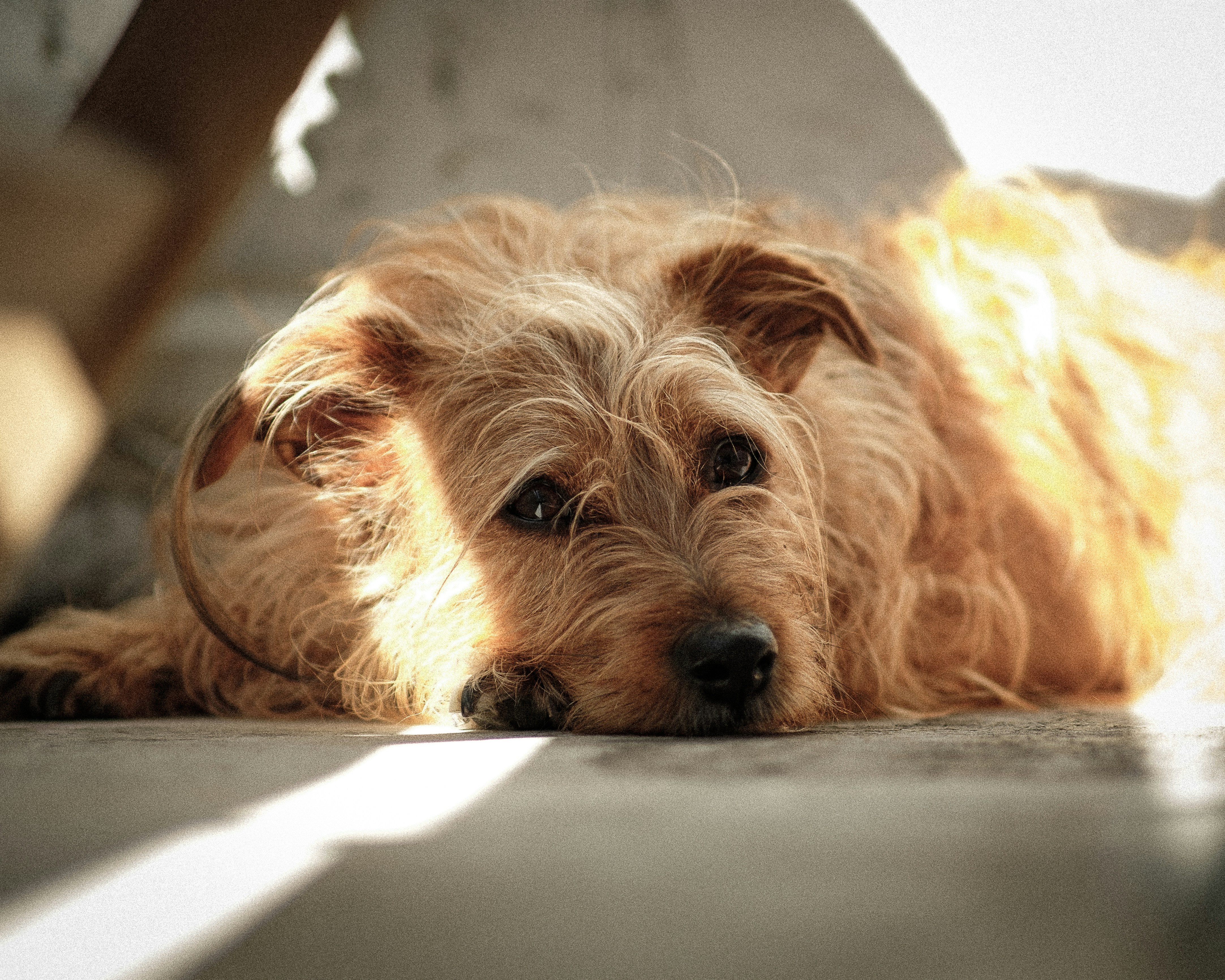 Photo by thombradley