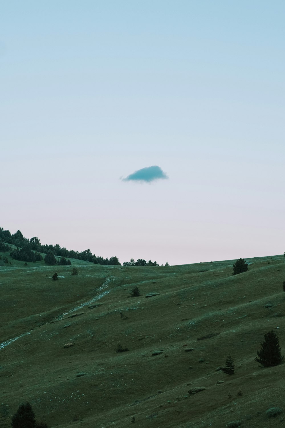 Campo de hierba verde bajo el cielo blanco durante el día