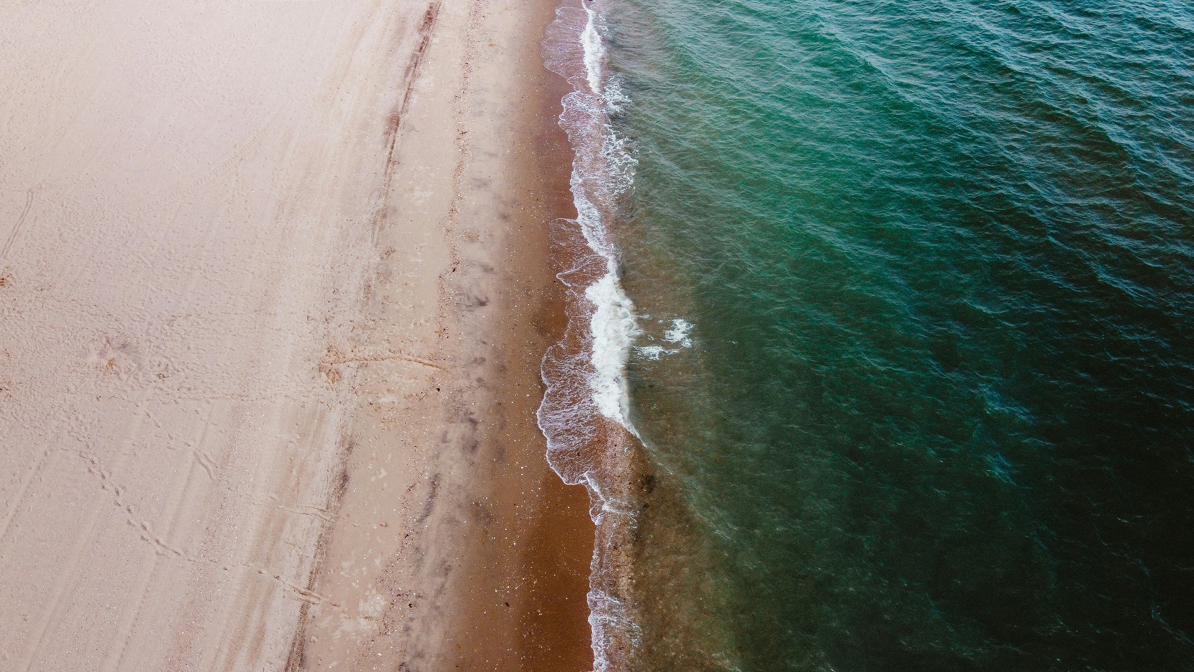 Photo by gebhartyler