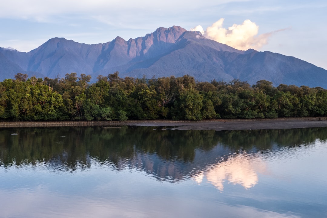 green trees near lake and mountain under blue sky during daytime