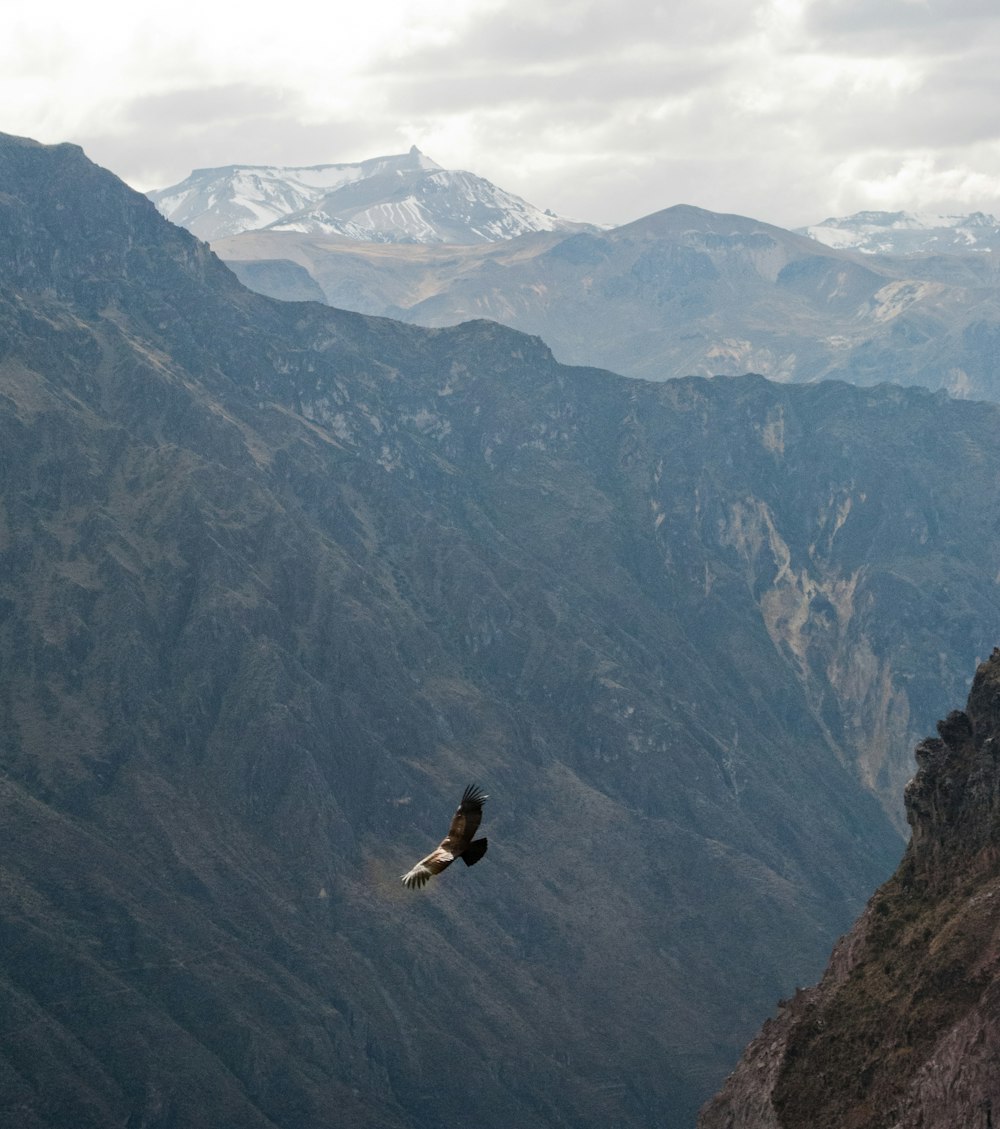 Persona in camicia nera che si siede sulla montagna rocciosa durante il giorno