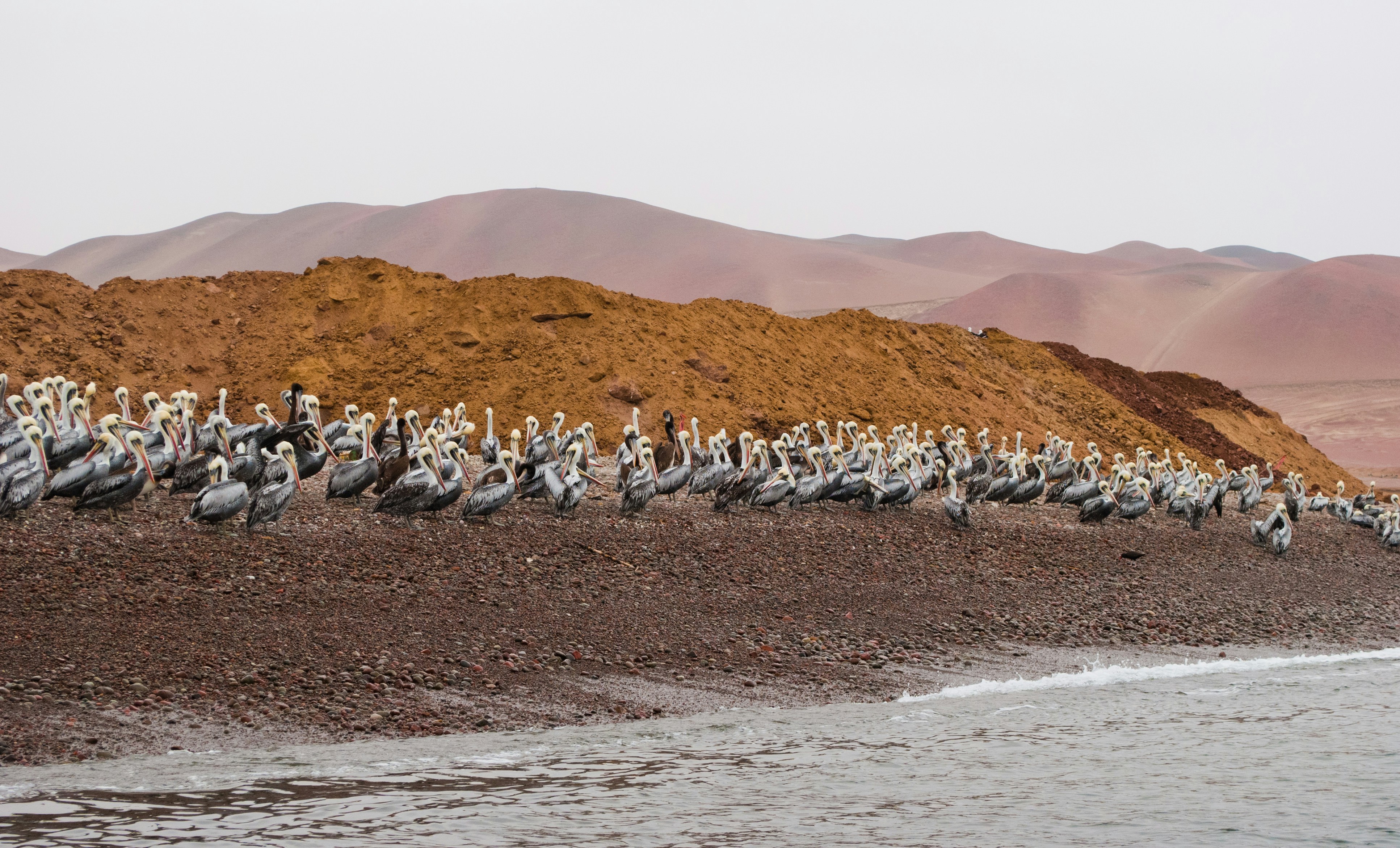 Photo by adelebeausoleil