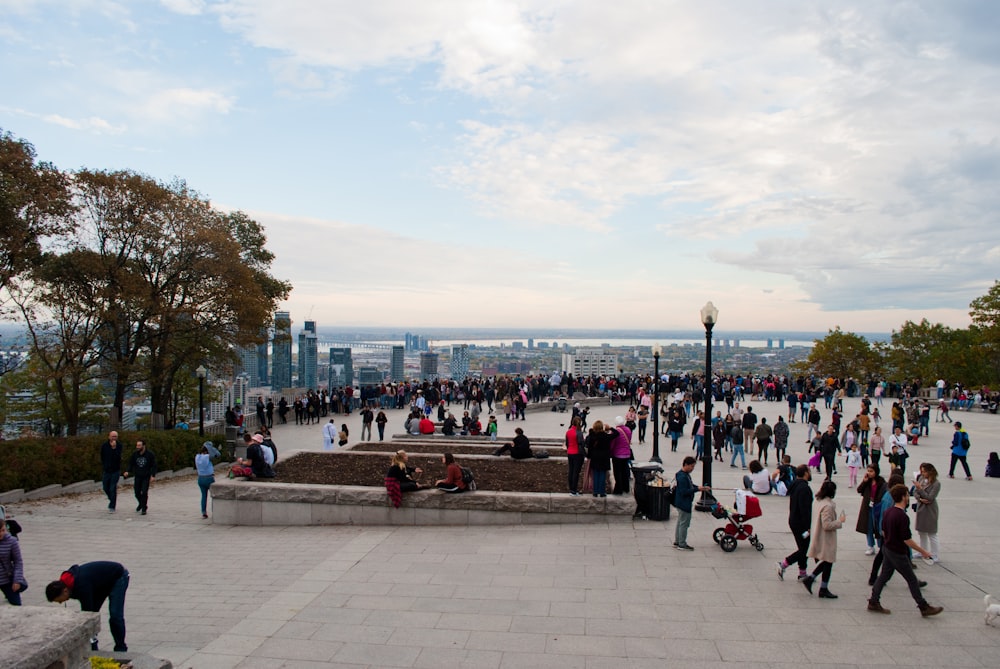 people sitting on bench near body of water during daytime