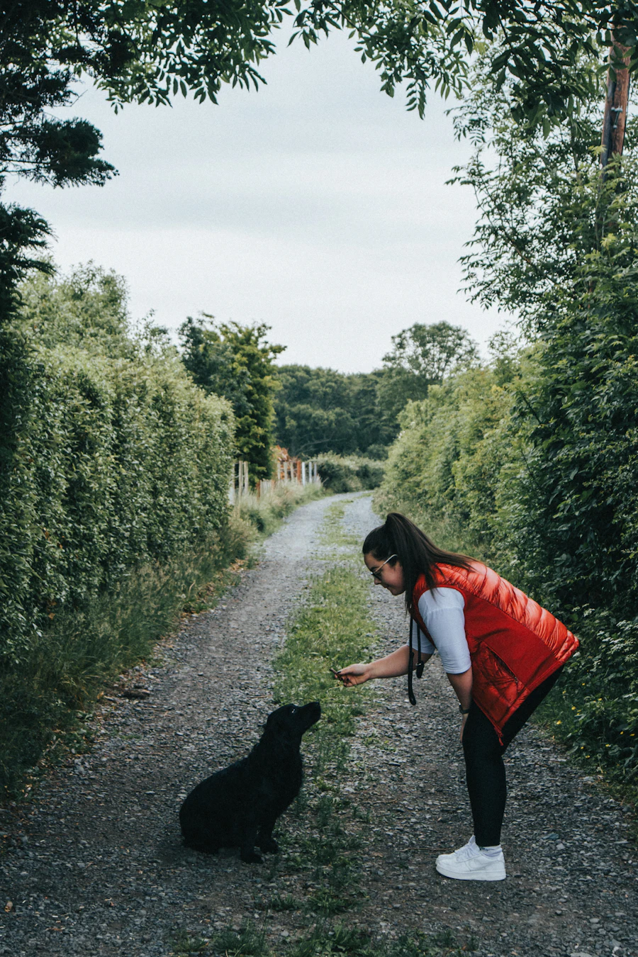 A trainer crouching beside a dog on a garden path