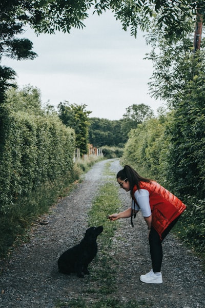 A woman in an orange vest training a black dog on a quiet path, the kind of positive reinforcement work that builds a calm dog
