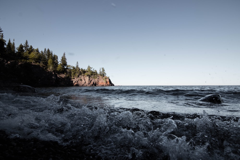 green trees on brown rock formation beside sea during daytime