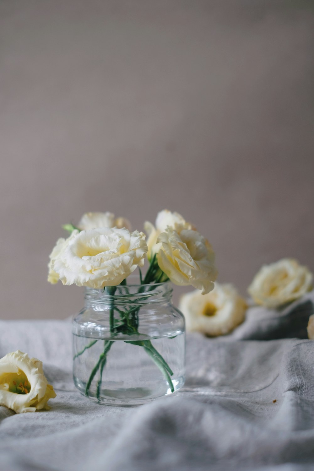 white flowers in clear glass vase