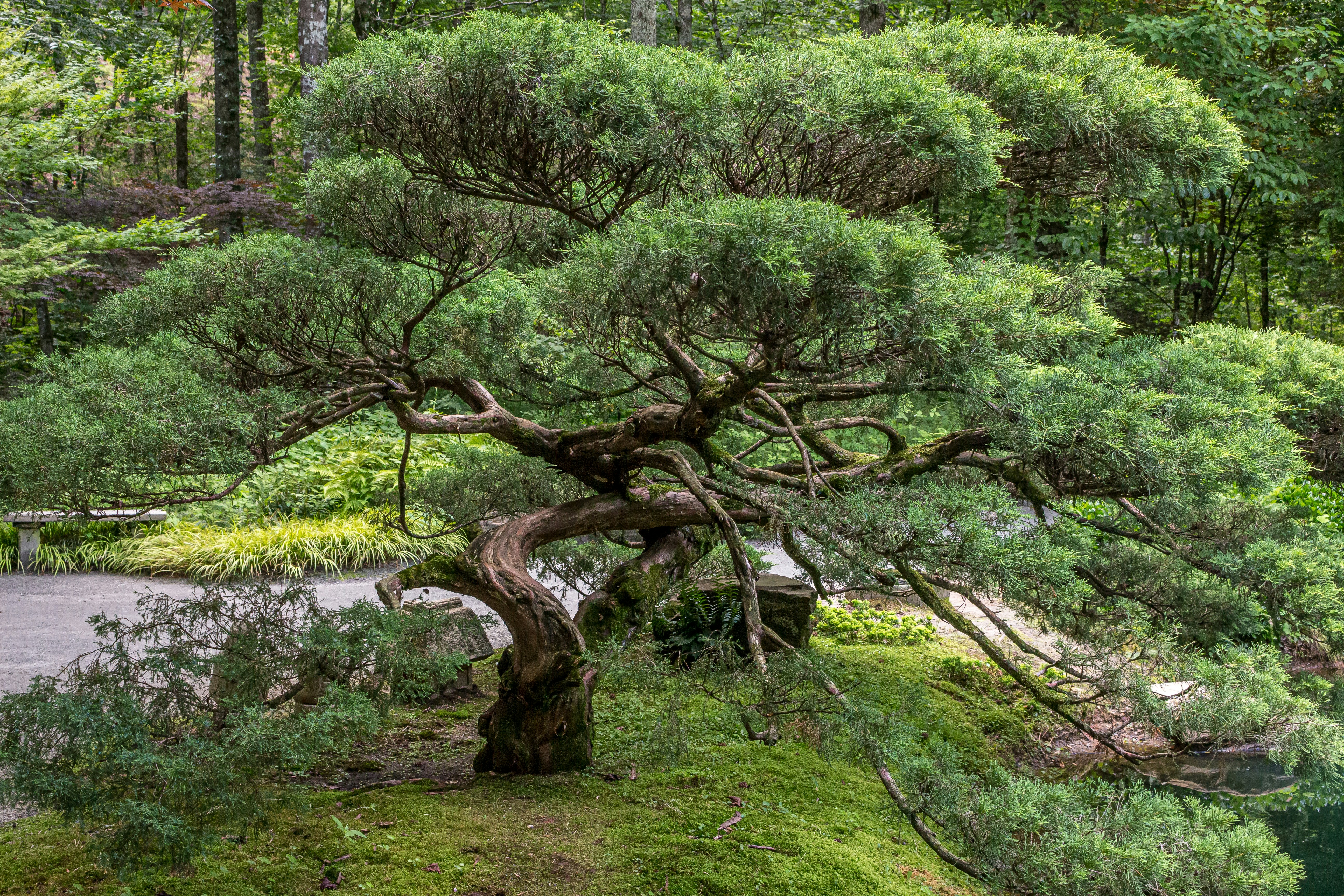 Photo by rendermouse