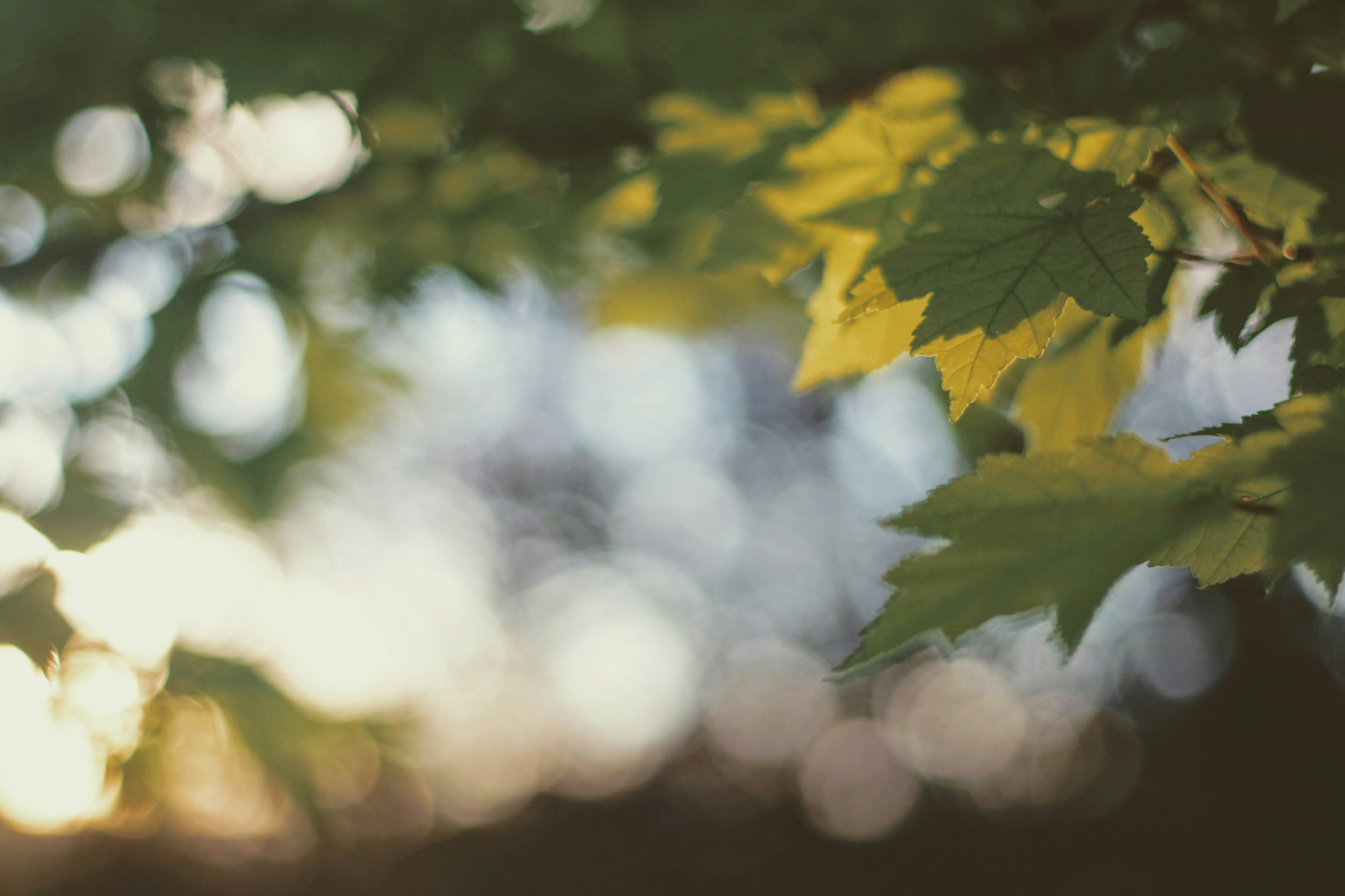 Photo by joshua_hoehne