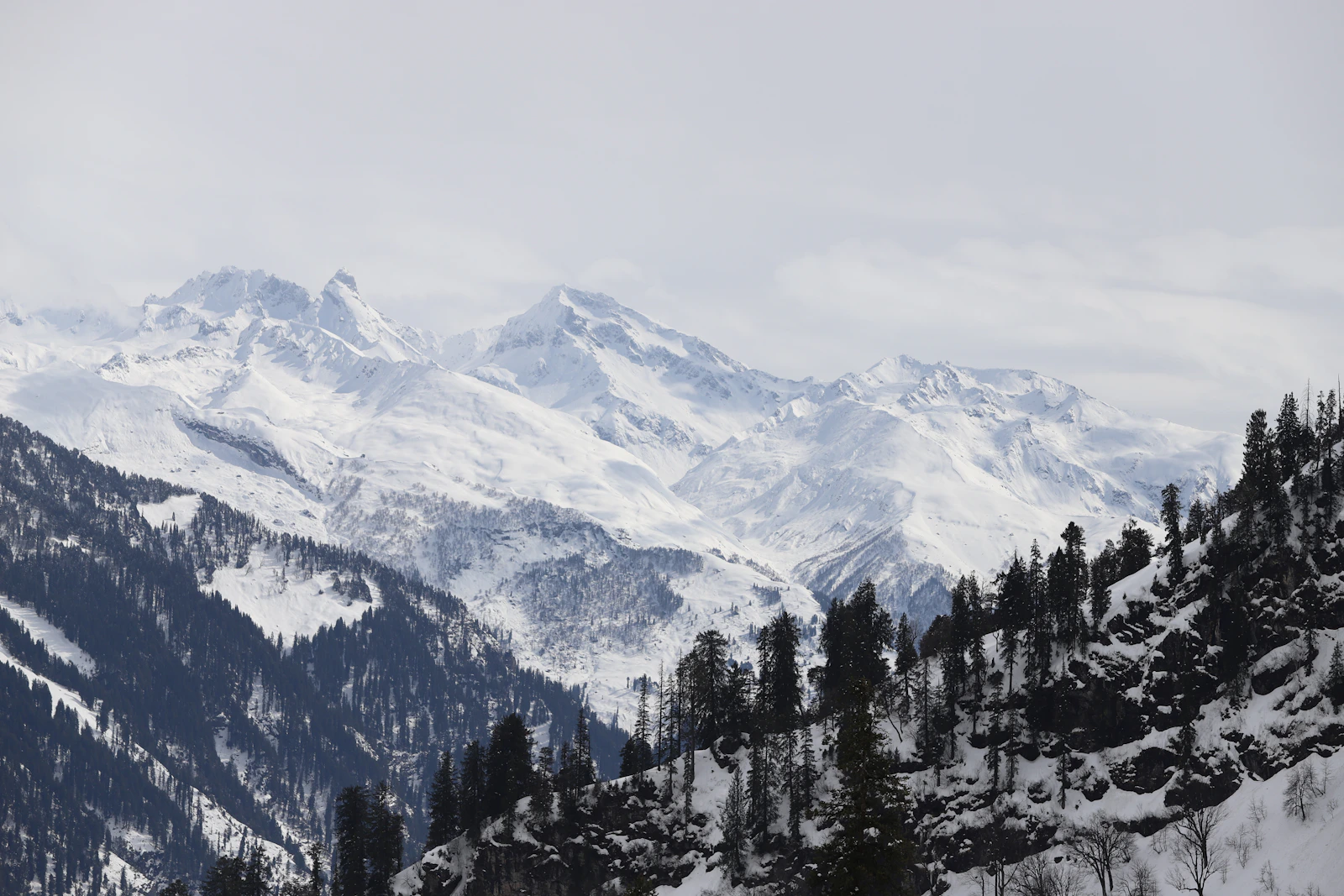 Bhrigu Lake Alpine Meadow Trek preview 5