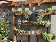 A vertical garden with wooden shelves holding a variety of plants and flowers. The plants appear lush and healthy, with some displaying small blossoms. Sunlight is casting shadows, enhancing the greenery. There are string lights hanging above the garden, adding a decorative touch.