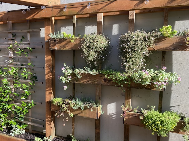 A vertical garden with wooden shelves holding a variety of plants and flowers. The plants appear lush and healthy, with some displaying small blossoms. Sunlight is casting shadows, enhancing the greenery. There are string lights hanging above the garden, adding a decorative touch.