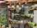 A vertical garden with wooden shelves holding a variety of plants and flowers. The plants appear lush and healthy, with some displaying small blossoms. Sunlight is casting shadows, enhancing the greenery. There are string lights hanging above the garden, adding a decorative touch.