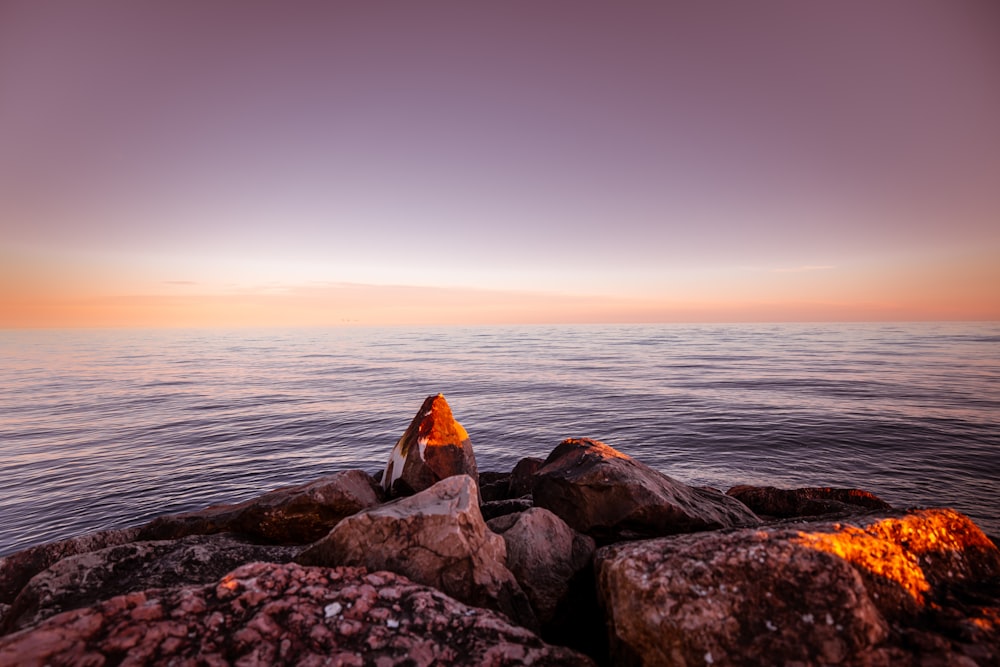 brown and gray rocks near body of water during sunset