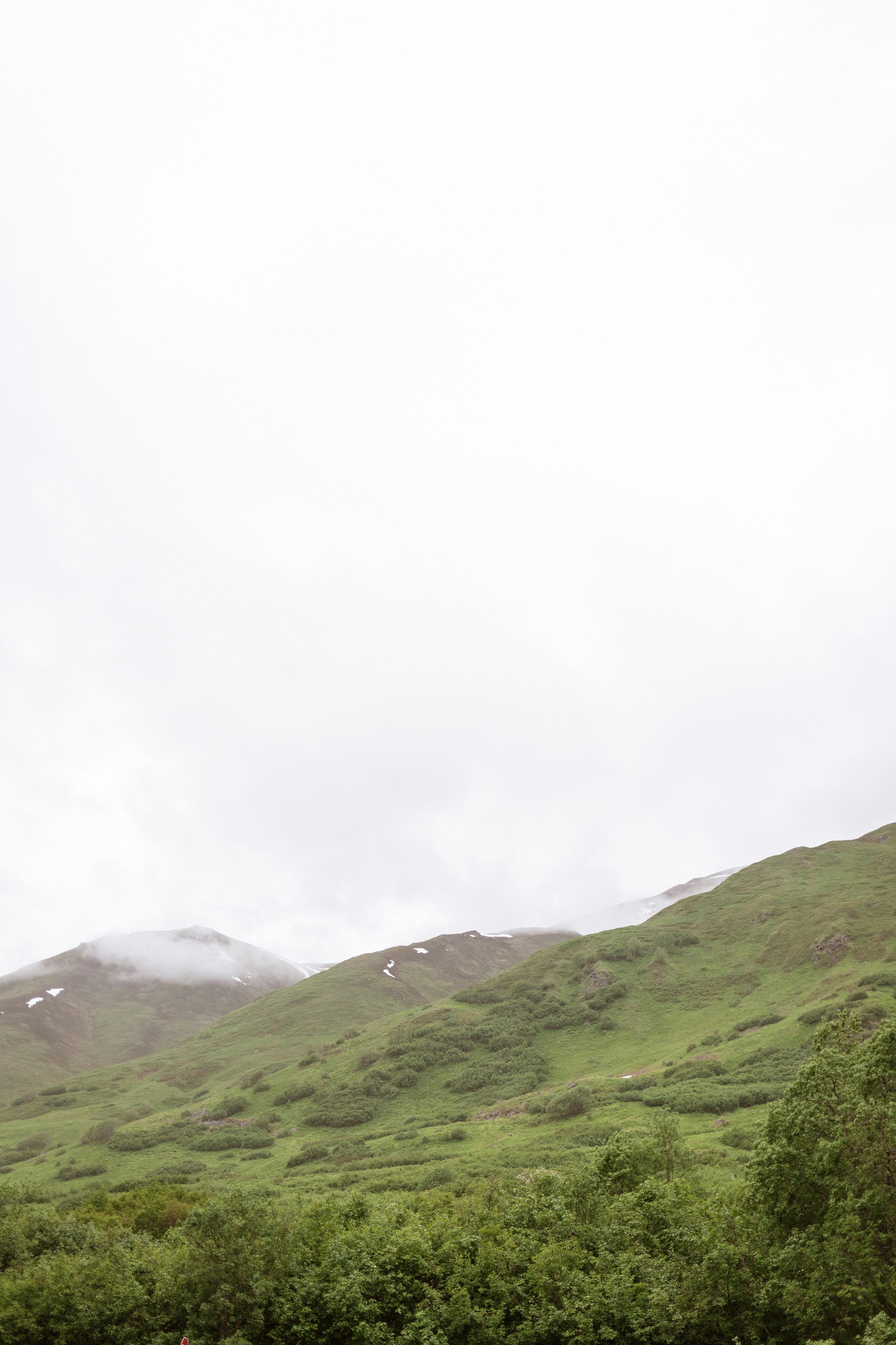 Photo by angelaleshch