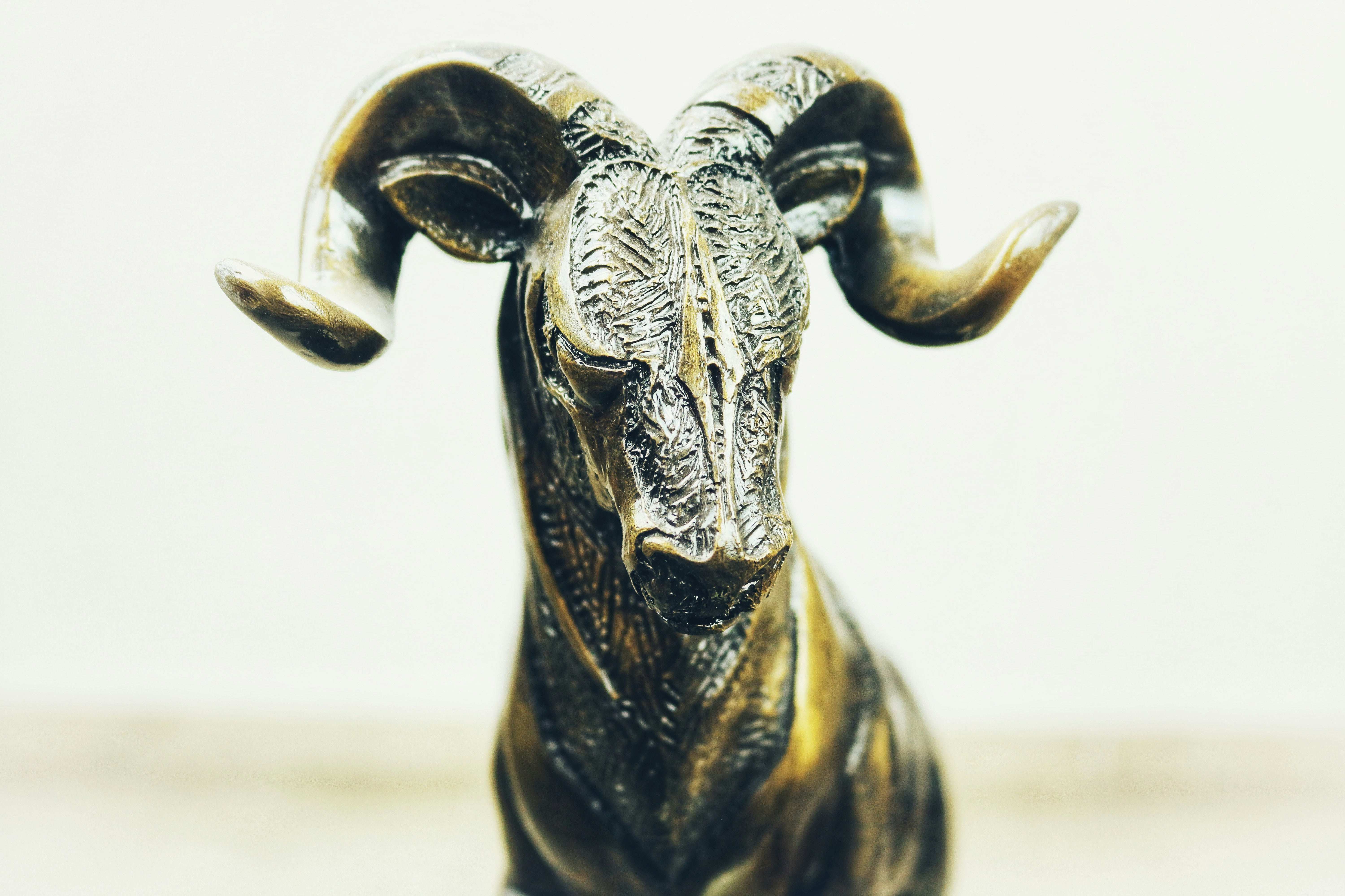 black and gold animal figurine