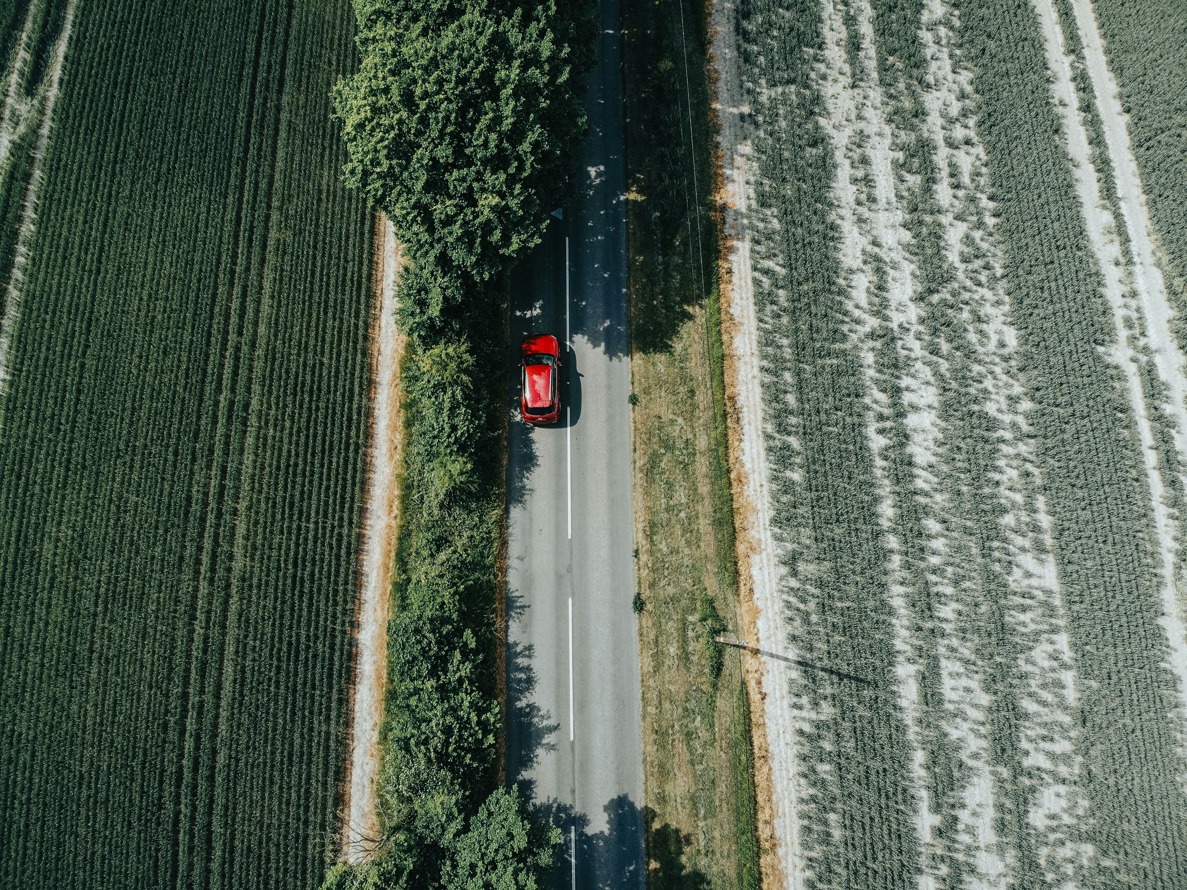 Photo by mattseymour