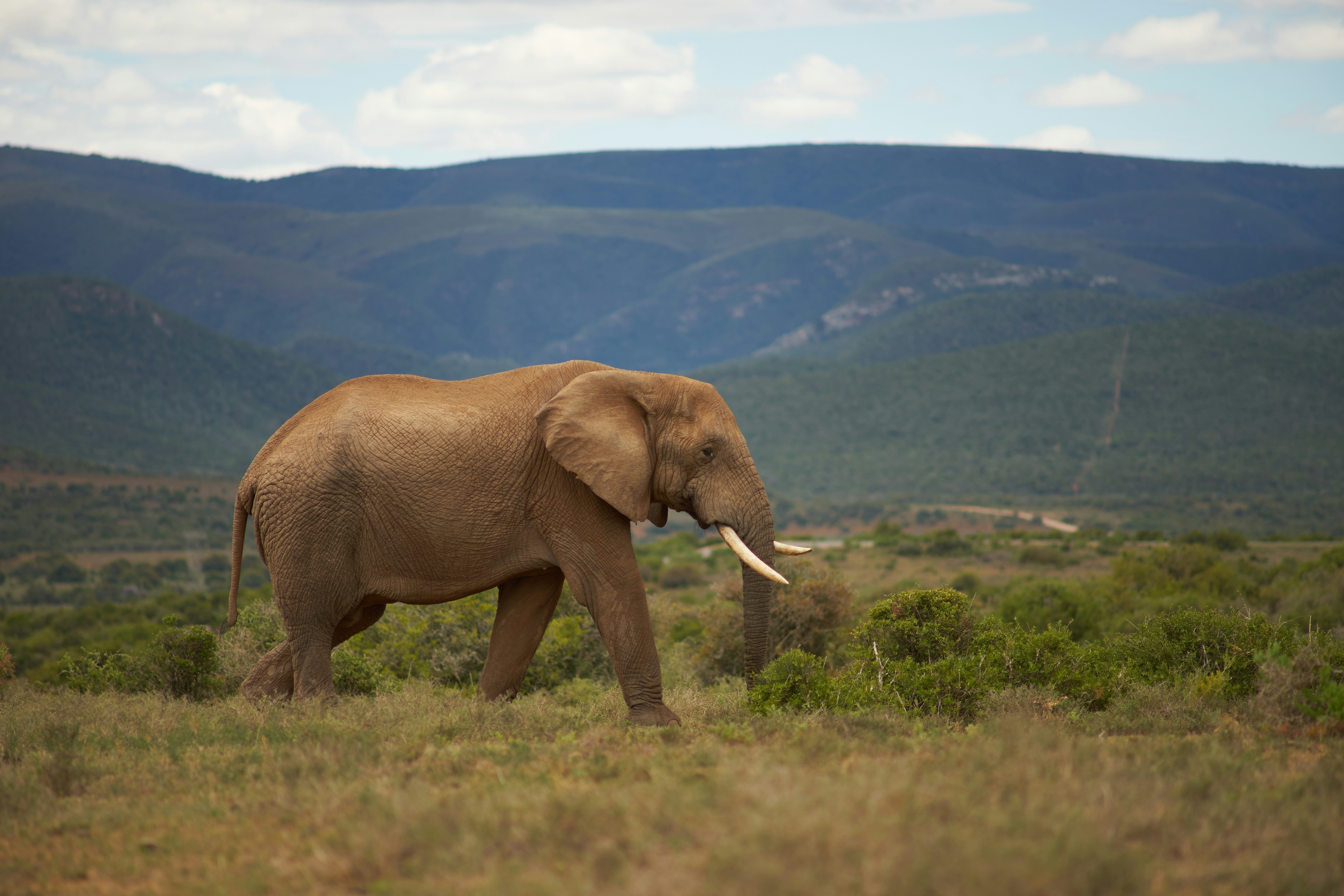 Photo by wolfgang_hasselmann