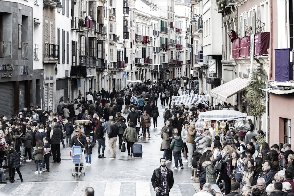 people walking on street during daytime