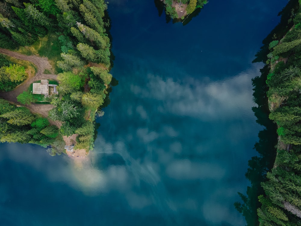 alberi verdi vicino allo specchio d'acqua durante la notte