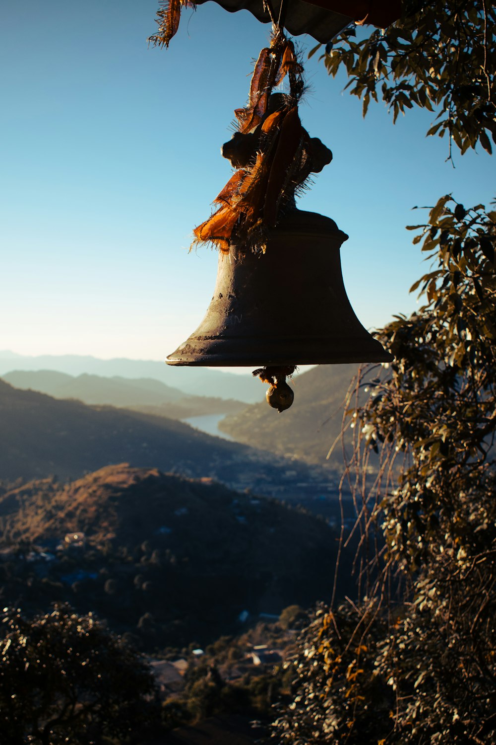 Campana negra en la rama marrón del árbol durante el día