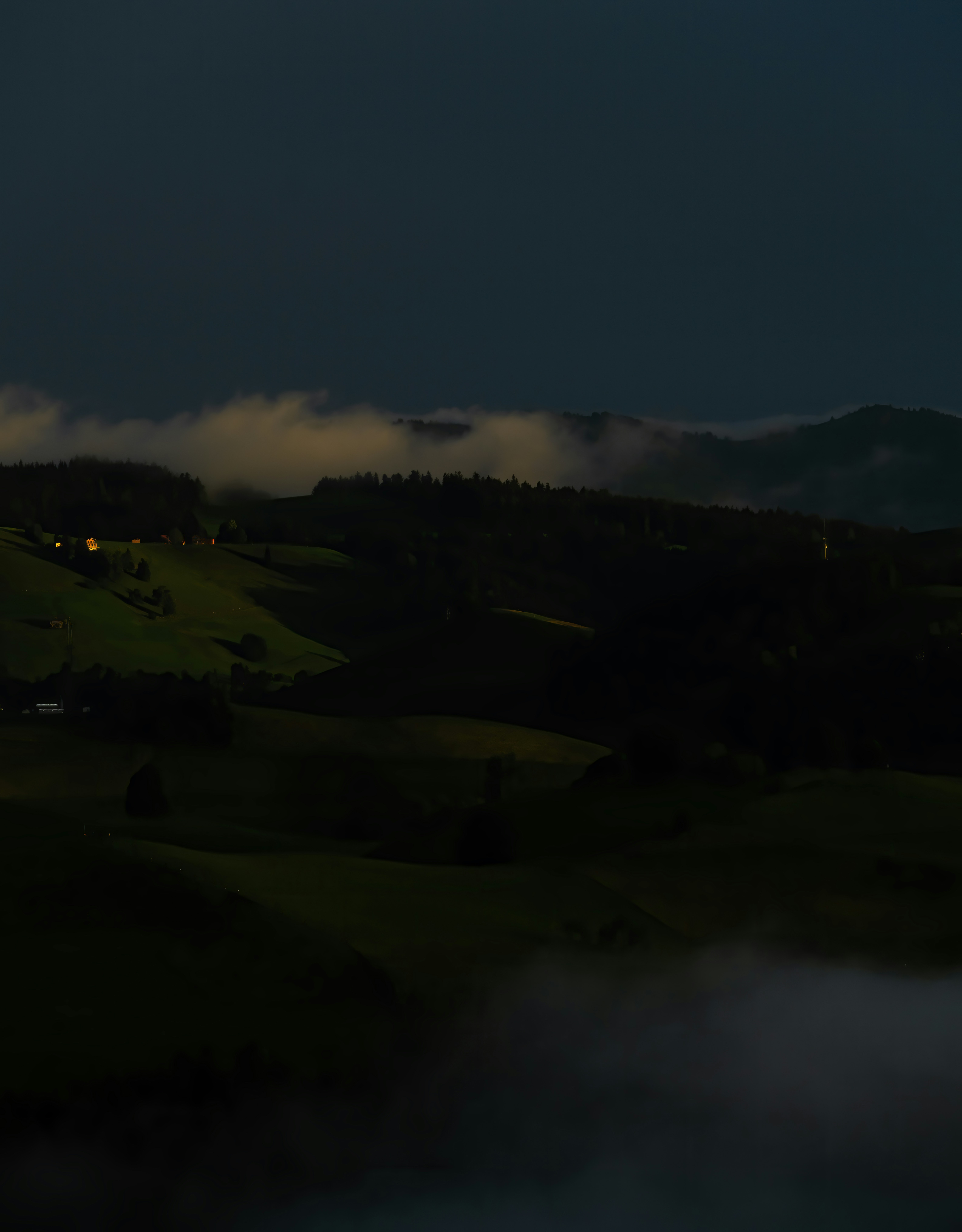 forest storm wallpaper, wallpaper, Calming Down During a Forest Storm: A Guide 6