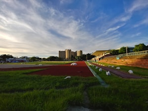 A sports track with red lanes is surrounded by green grass and benches. In the background, a multi-story building and a blue sky with wispy clouds create a serene setting. White bags are placed along the edges of the track.