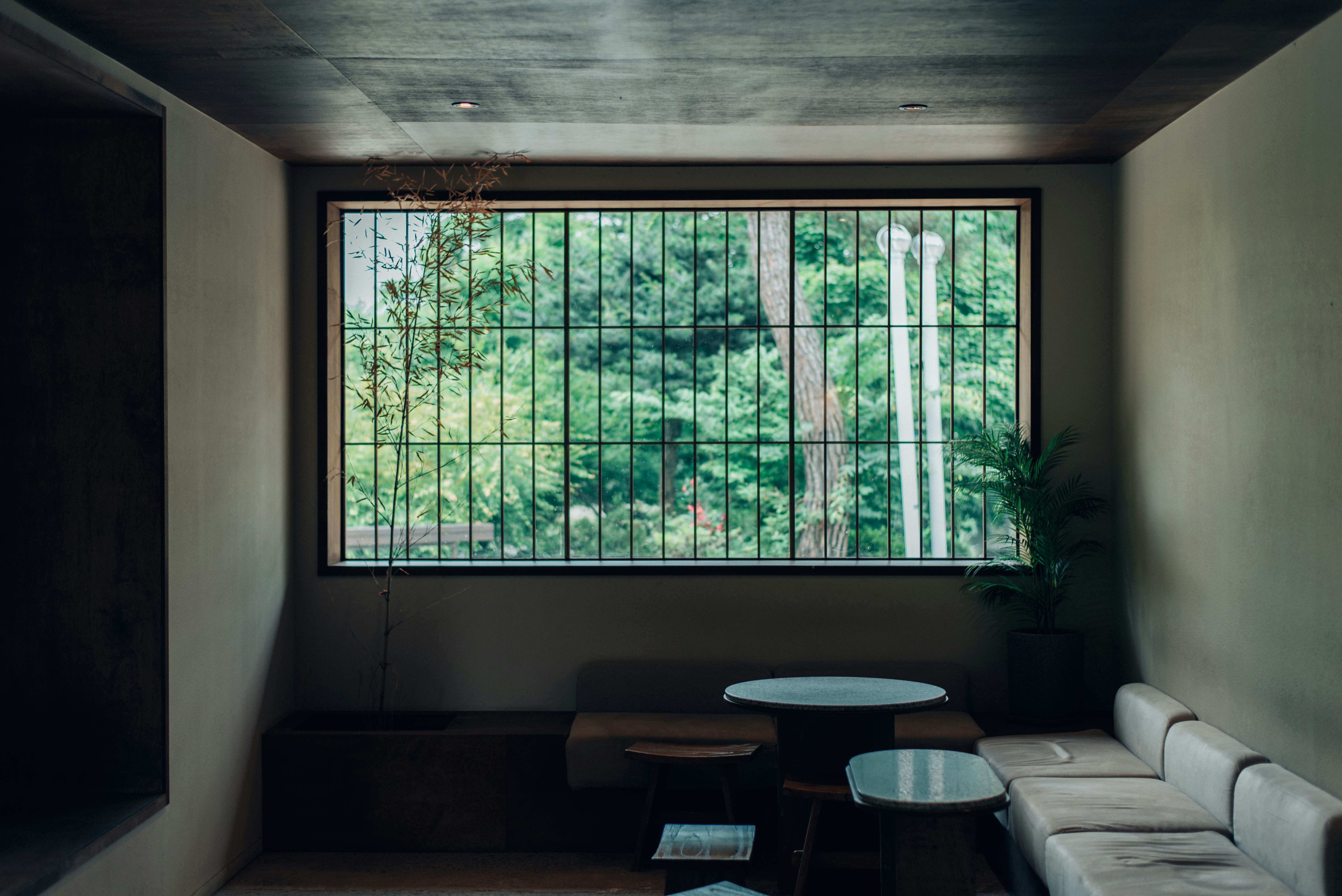 Patterned decorative window film enhancing a living room