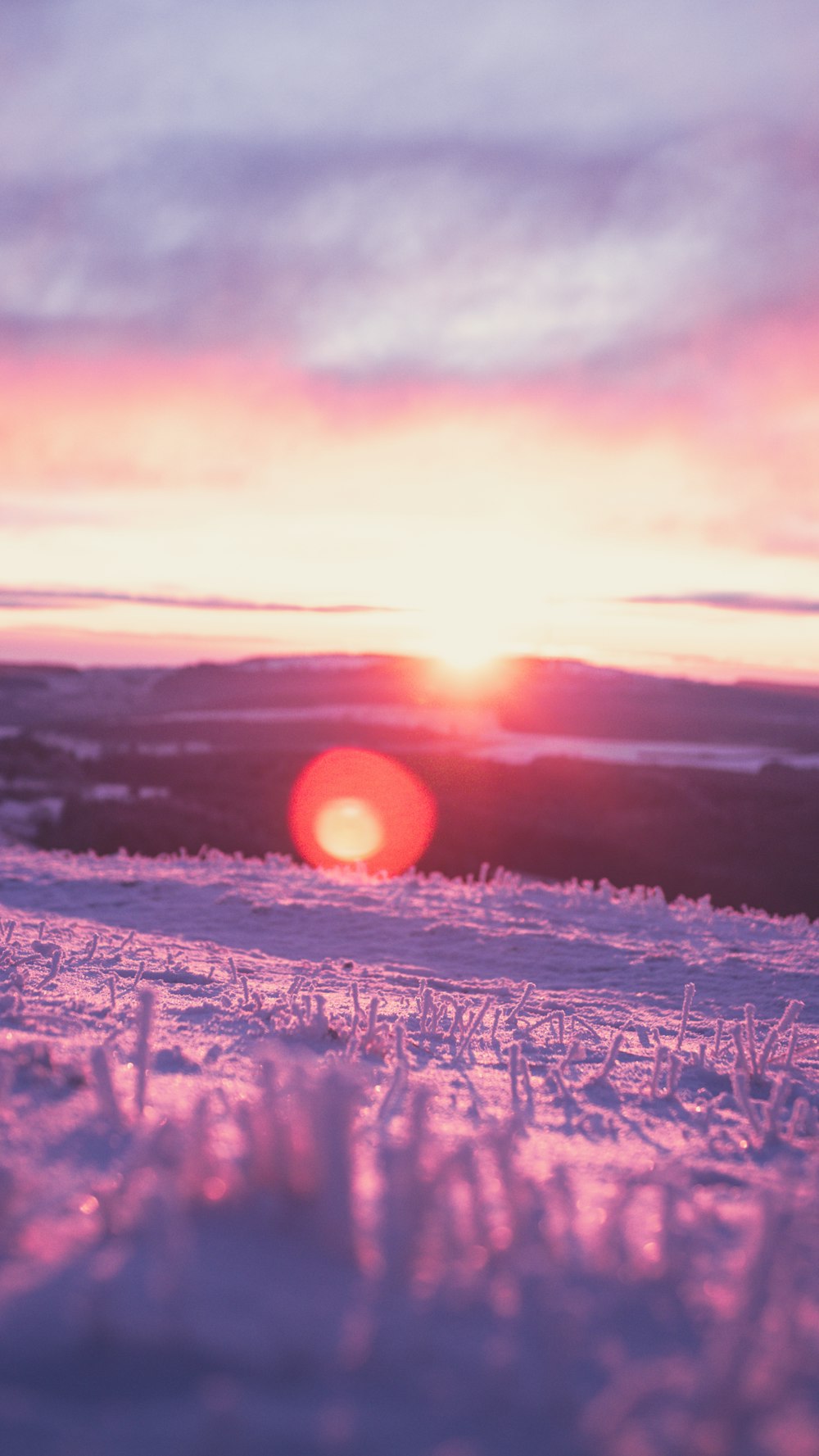 snow covered field during sunset