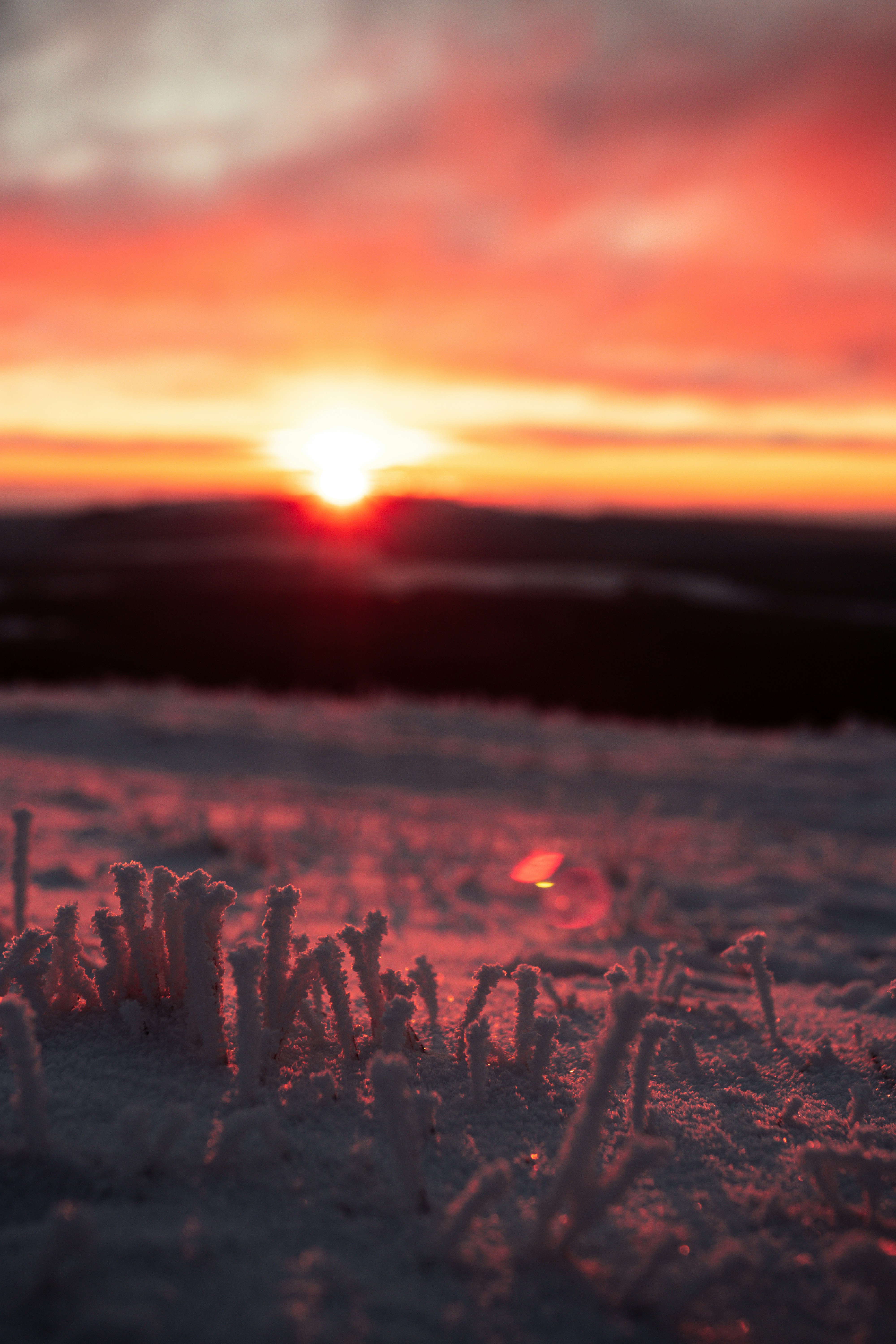 Photo by moritzthefox