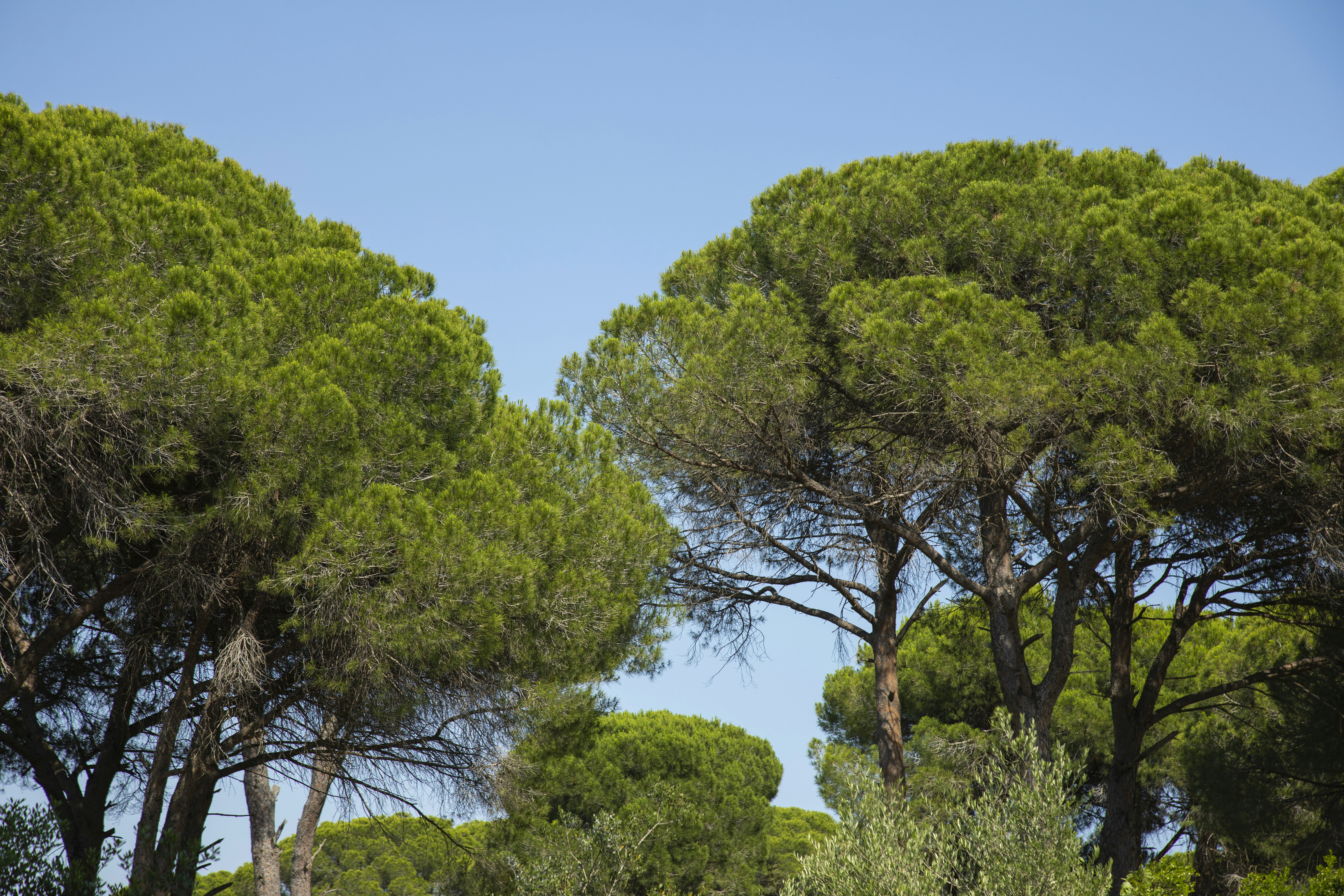 Photo by enginakyurt