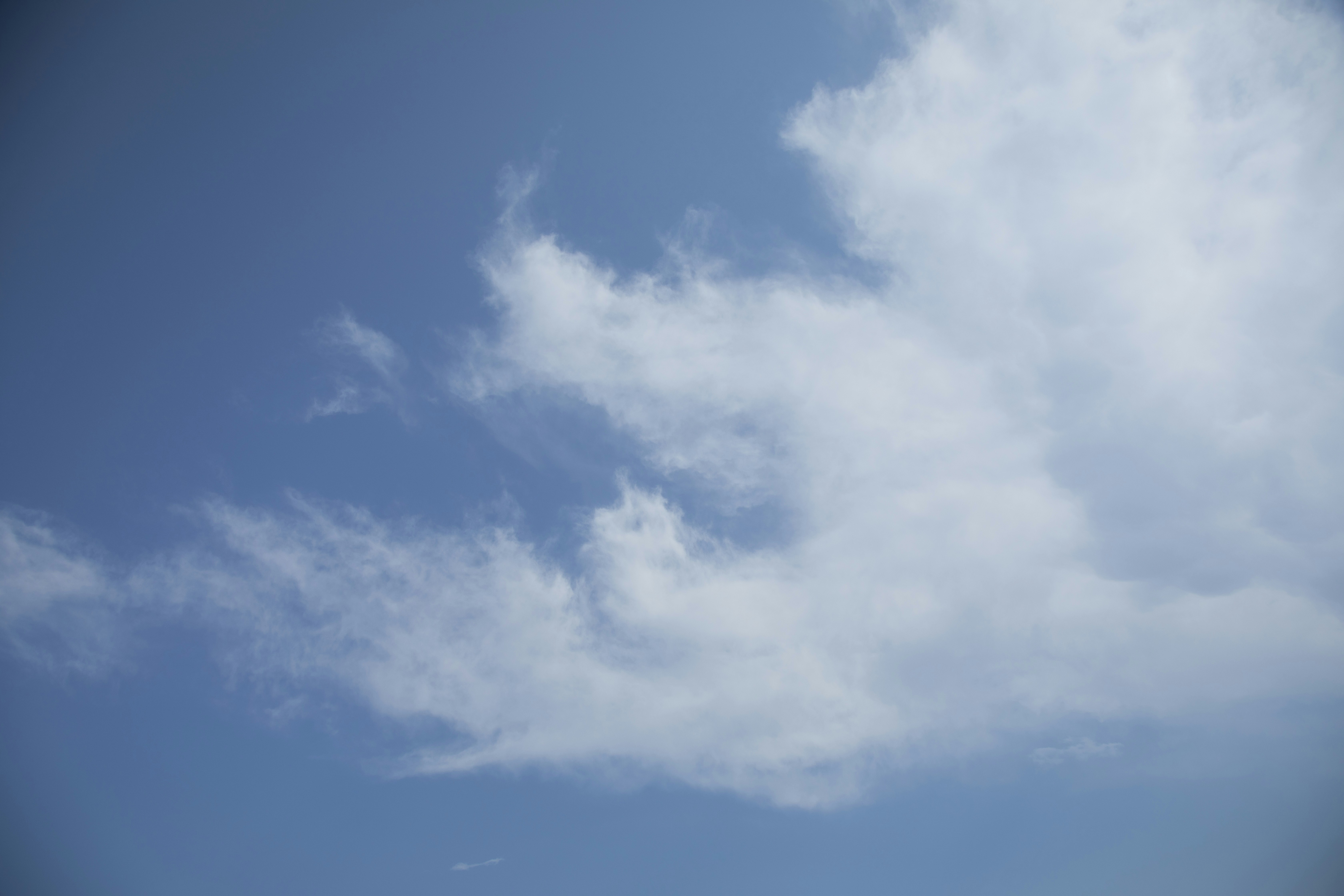 Photo by enginakyurt