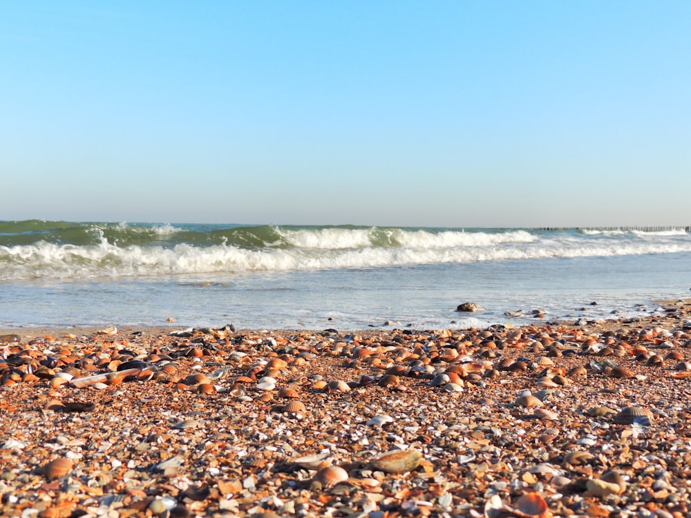 brown and black stones on seashore during daytime