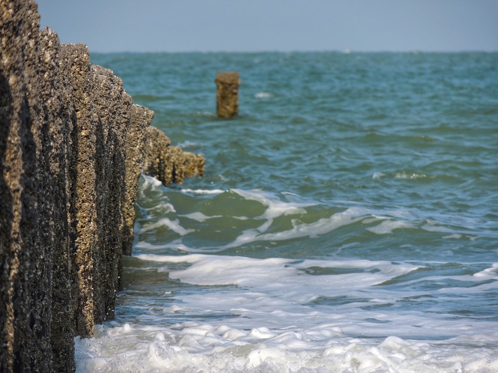 brown and black rock formation near body of water during daytime