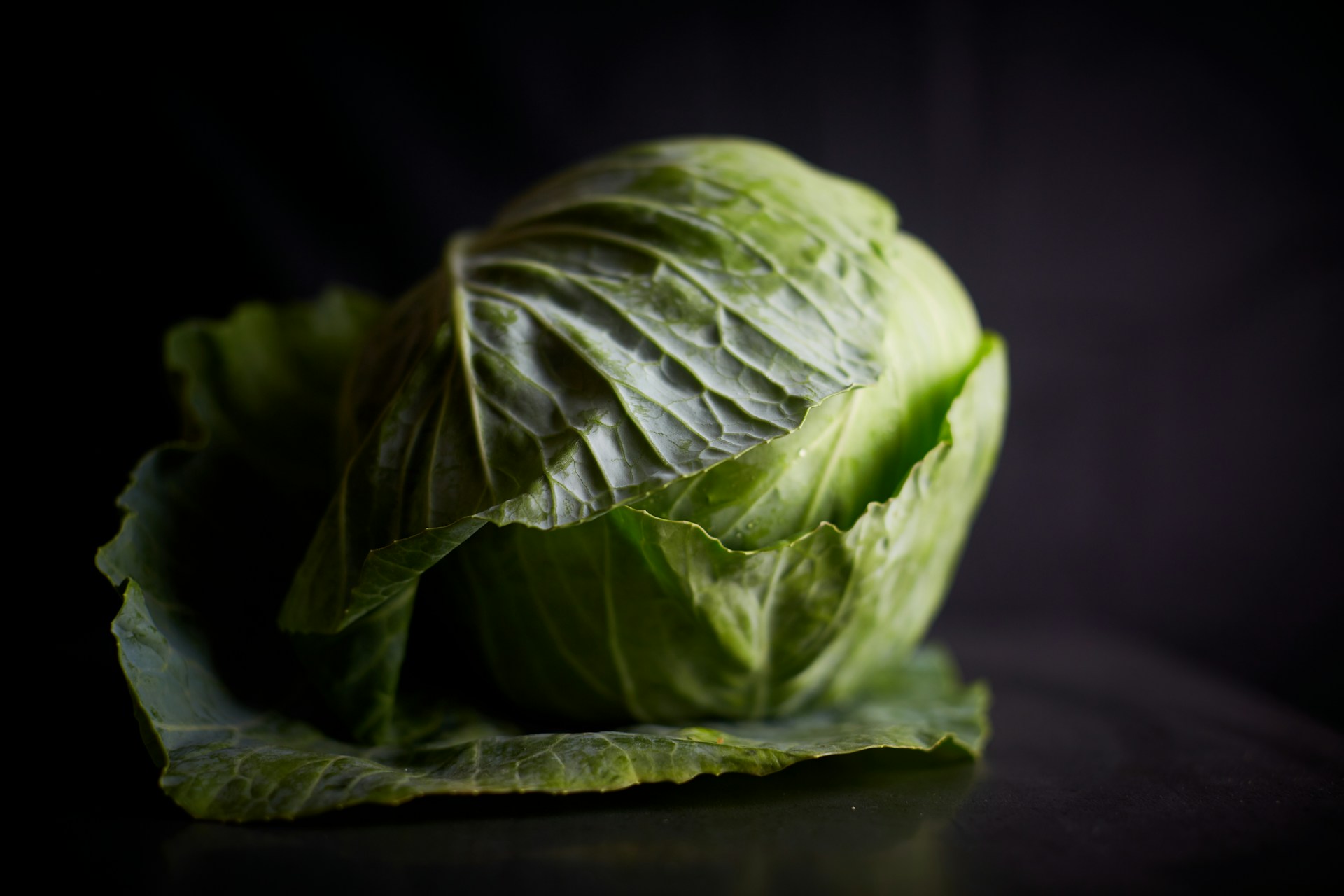 green lettuce on purple textile