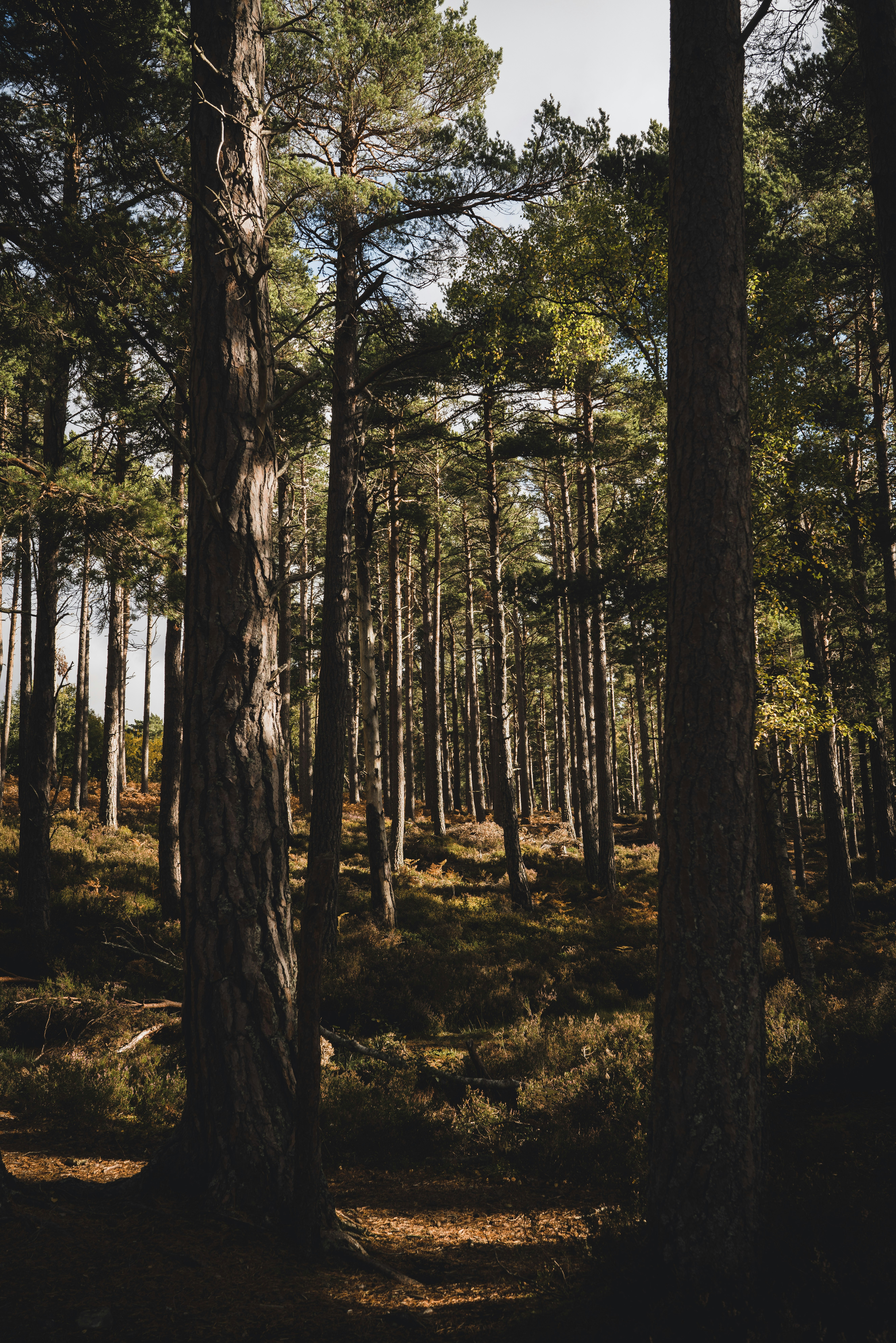 Photo by charliefirth