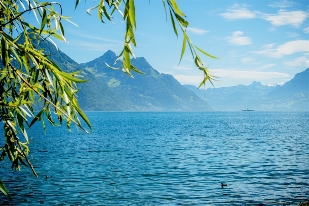 body of water near mountain during daytime