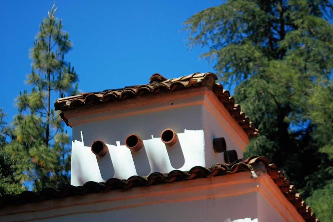 brown and white wooden roof